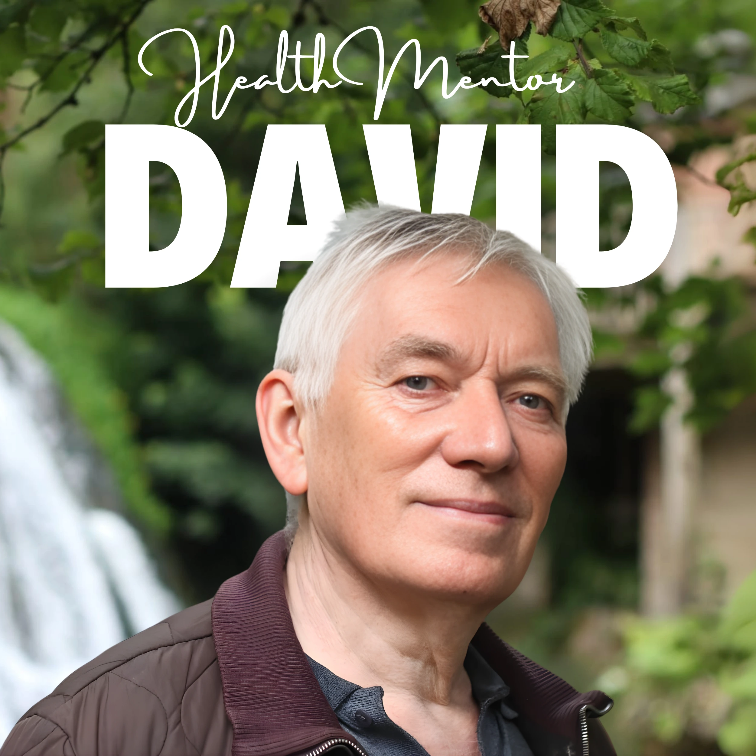 Meet David Section Banner